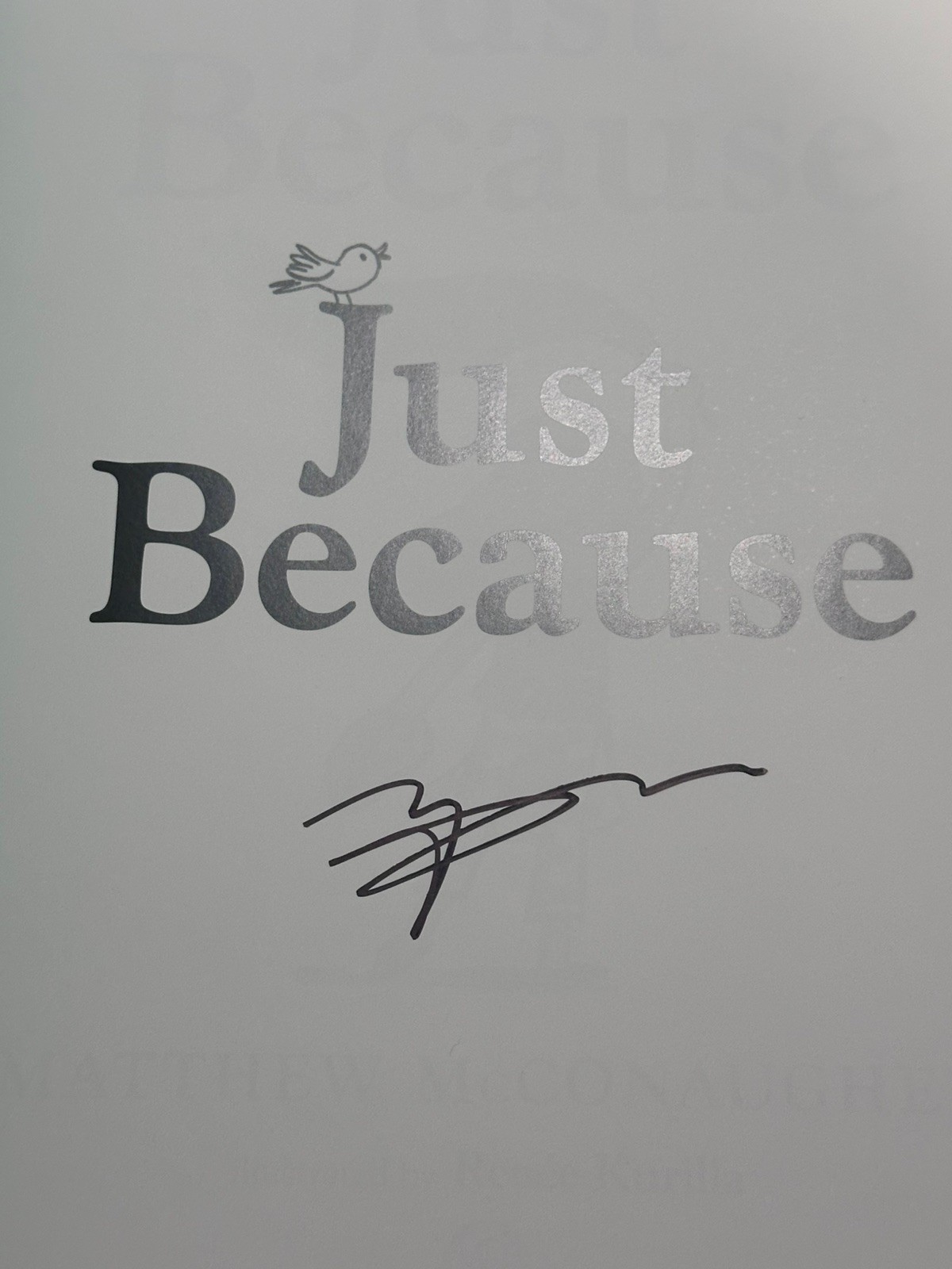 Just Because SIGNED by MATHEW McCONAUGHEY Hardcover