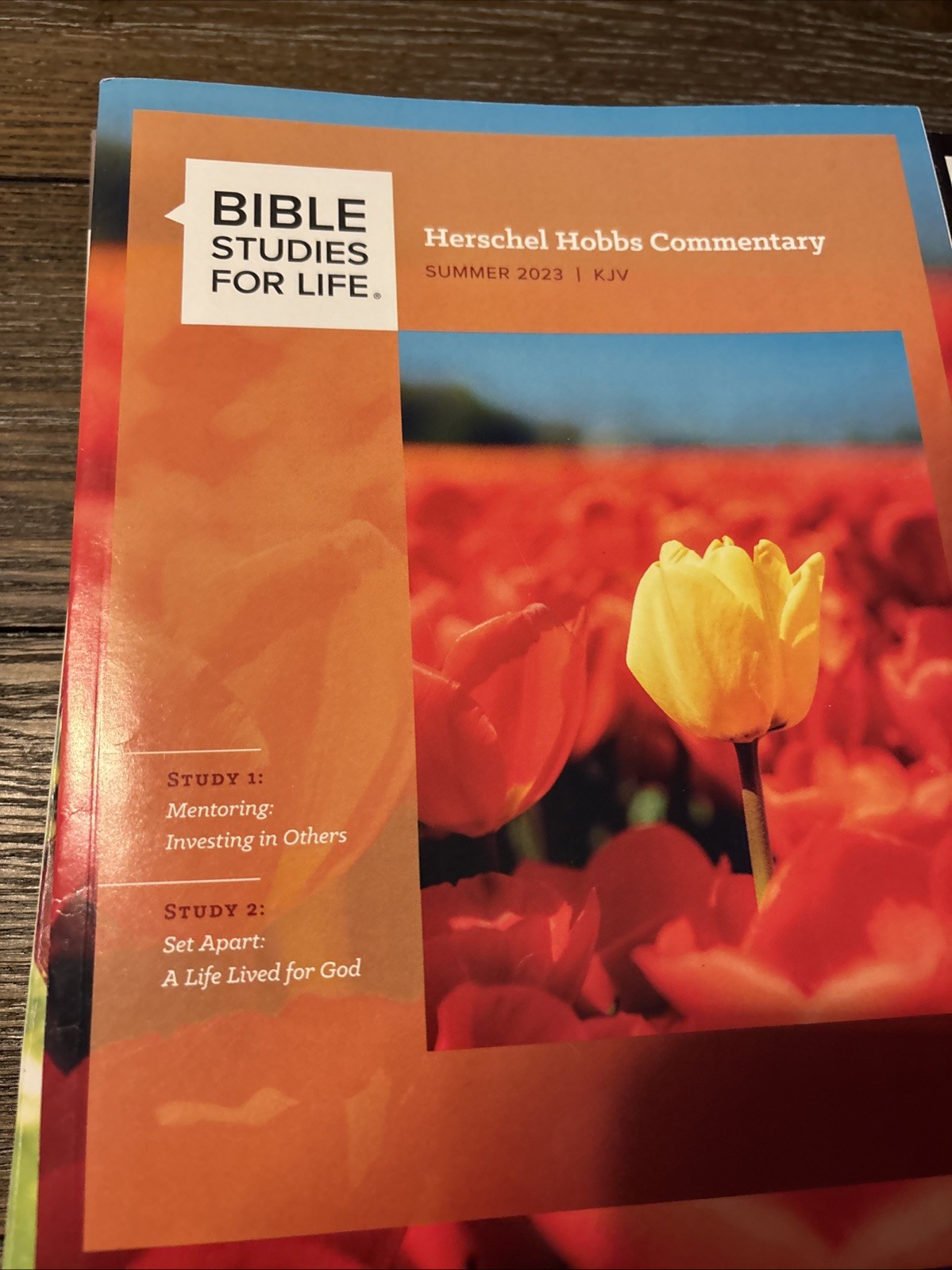 Lot of 23 Lifeway Bible Studies for Life KJV Adults & Explore The Bible 2022-25