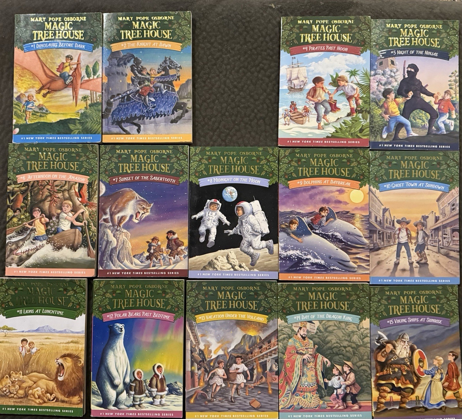 Magic Tree House 1–29 Missing 3 And 16