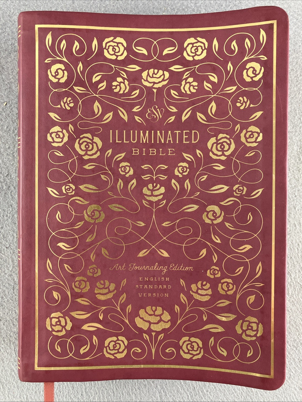 The Daily Grace Co Illuminated ESV Bible Art Journaling Softcover With Box