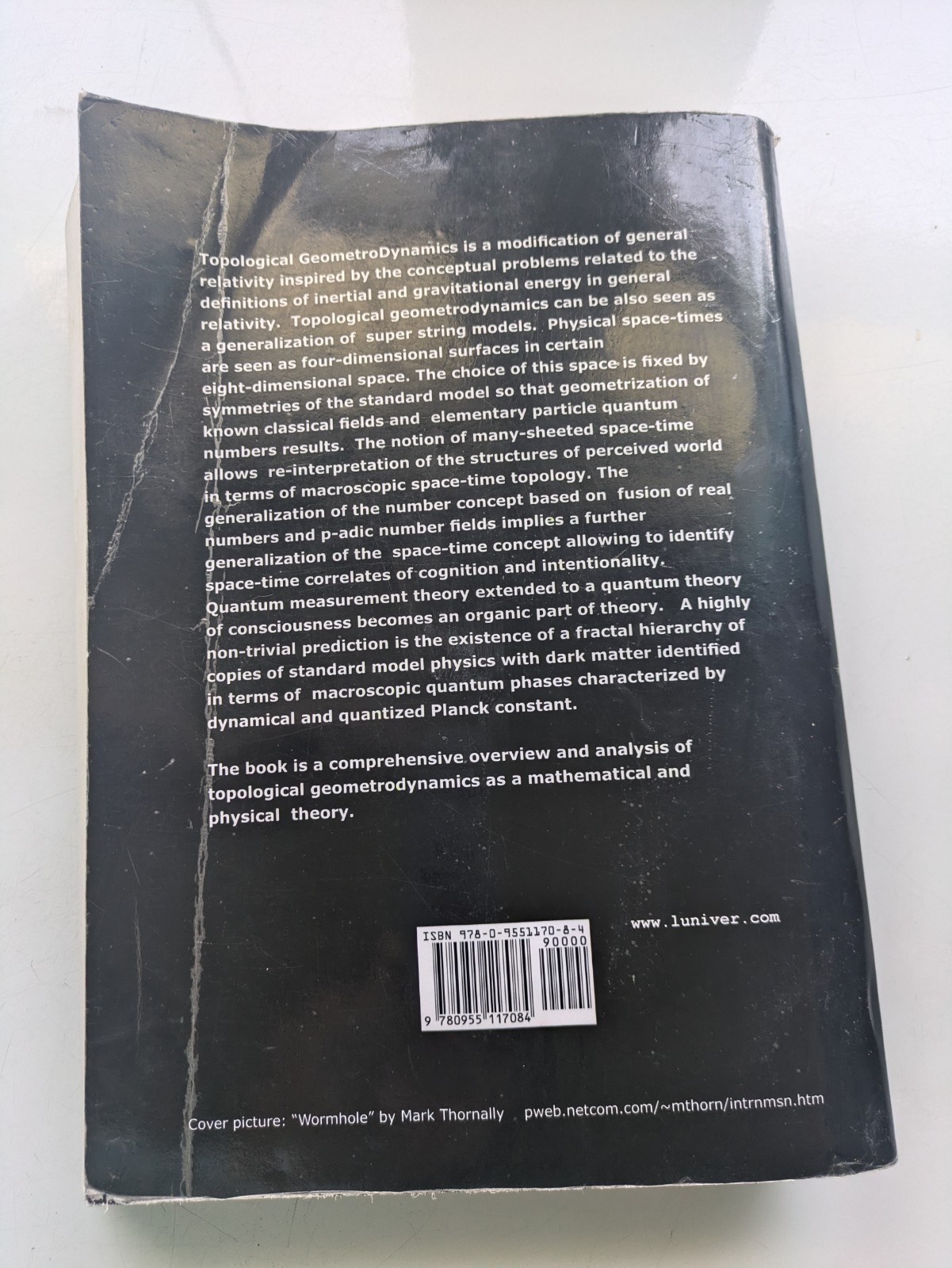 Topological Geometrodynamics – Pitkanen – Relativity Quantum Dark Luniver 2006