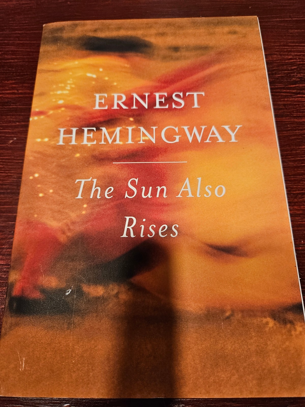 The Sun Also Rises Ernest Hemingway trade paperback good condition