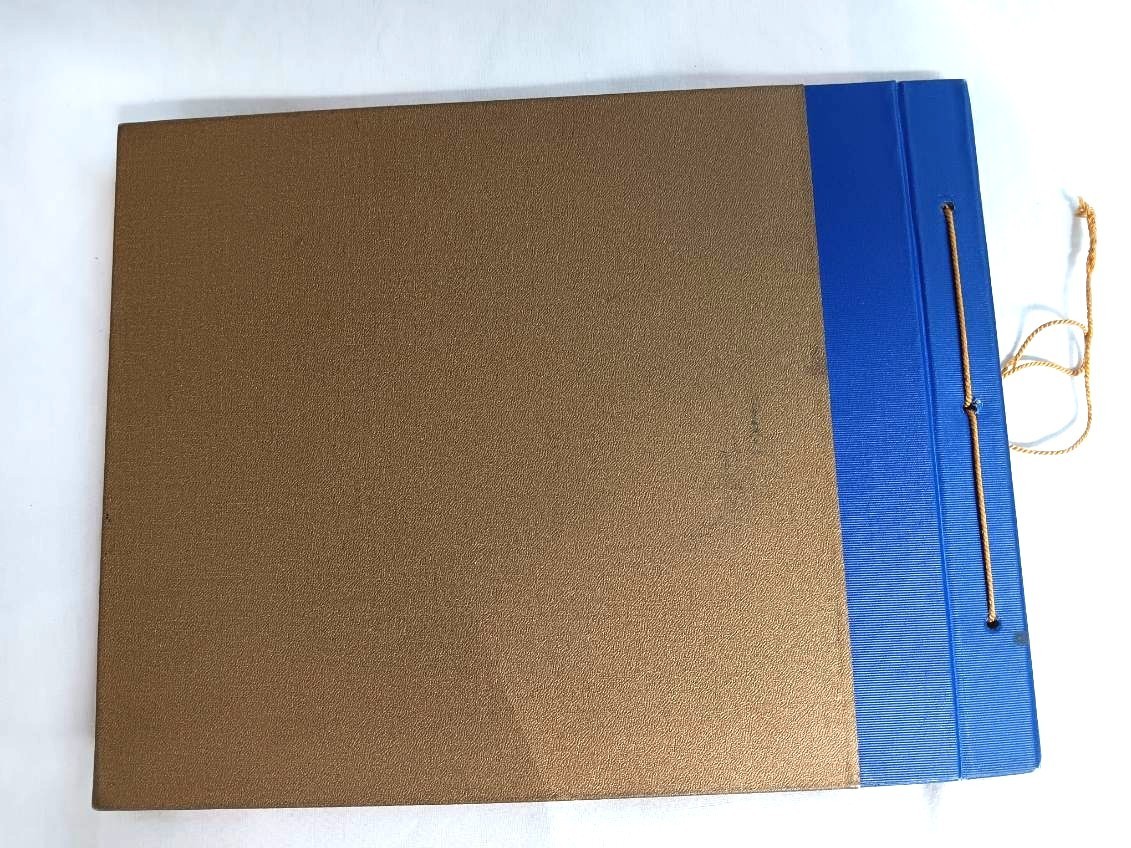 Carl Abell–THE CAMPUS: UNIVERSITY OF CALIFORNIA 1st ed 1st ptg HC 1919 Berkeley