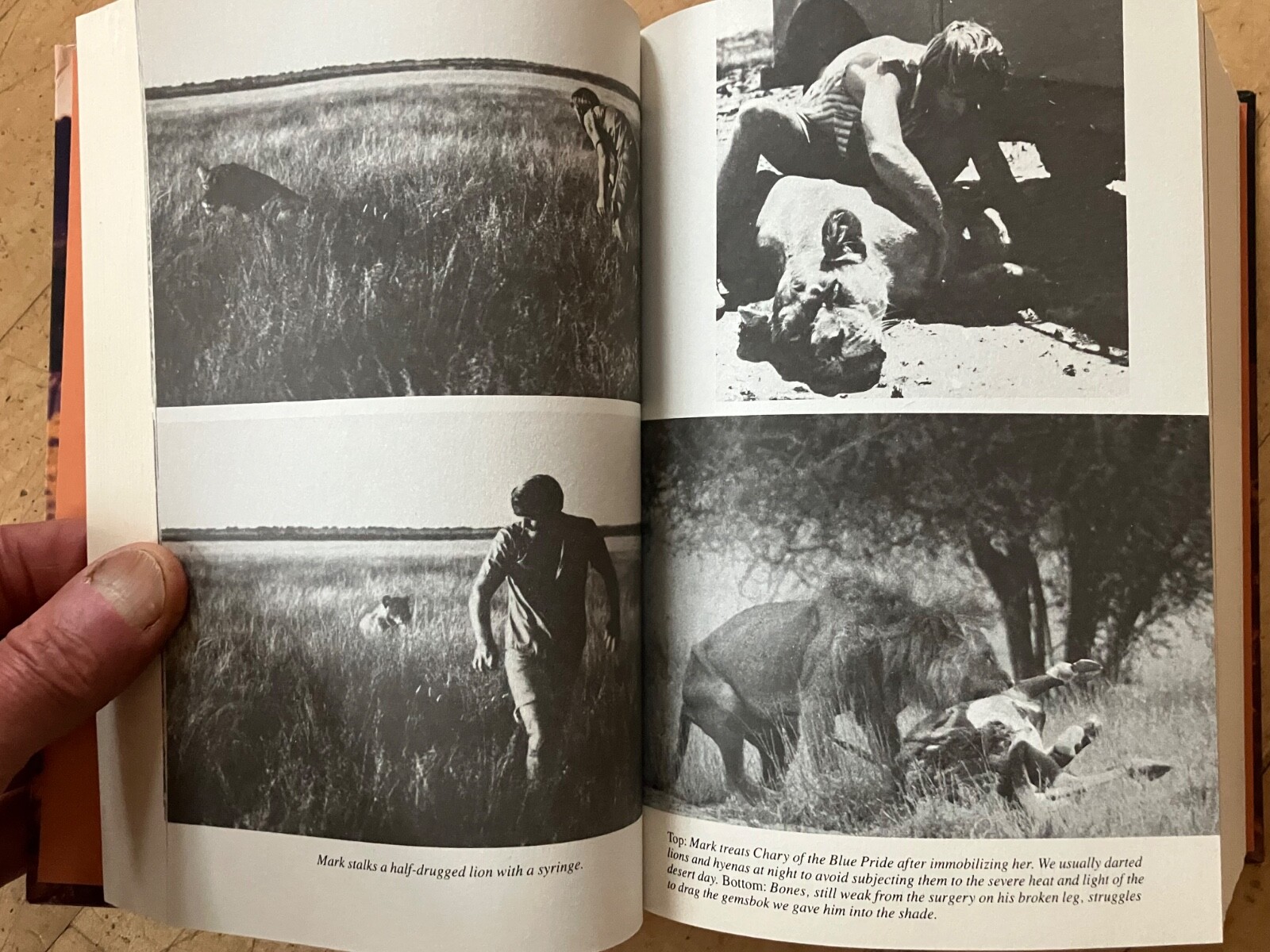 Delia Owens In Africa A Life In The Wild: By Mark Owens & Delia Owens 2019 B&N