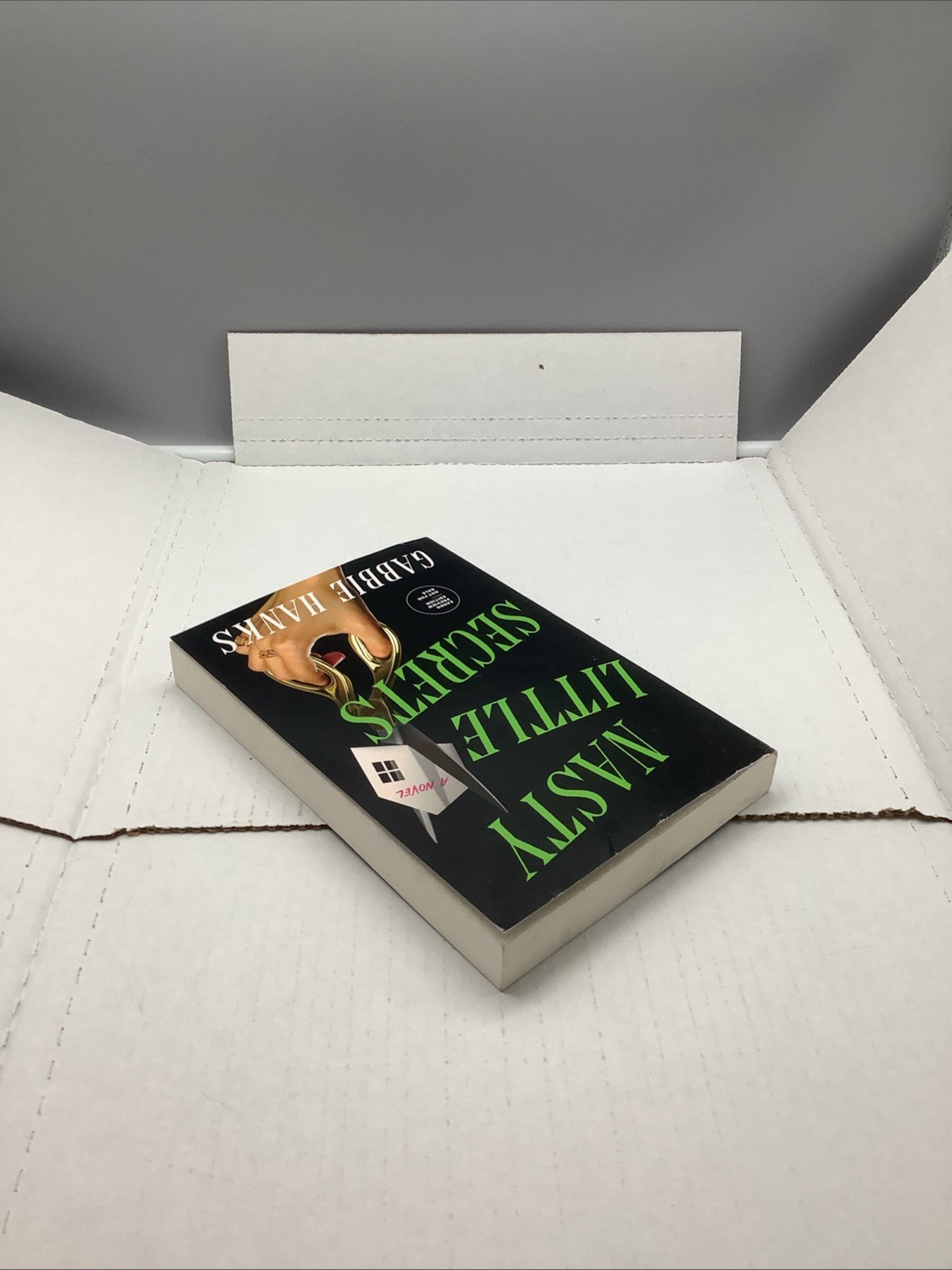 Nasty Little Secrets – By: Gabble Hanks – ARC 6/16/2026 – Paperback – Acceptable