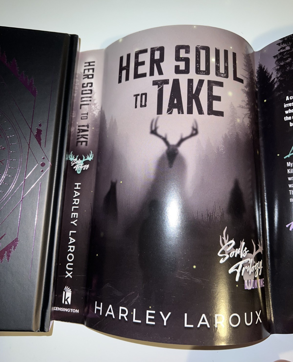 Her Soul to Take: Deluxe Special Edition: A Paranormal Dark Academia Romance…