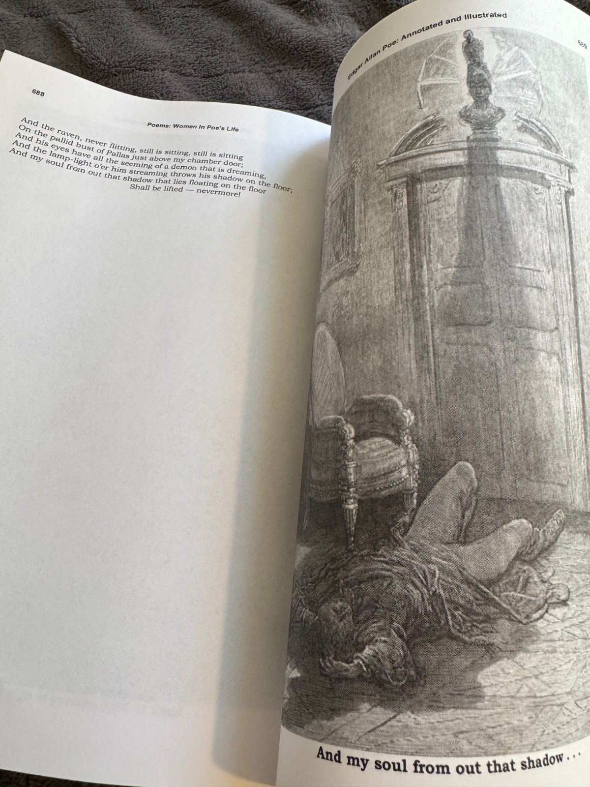 Edgar Allan Poe Illustrated Entire Stories & Poems Paperback Book 824 Pages