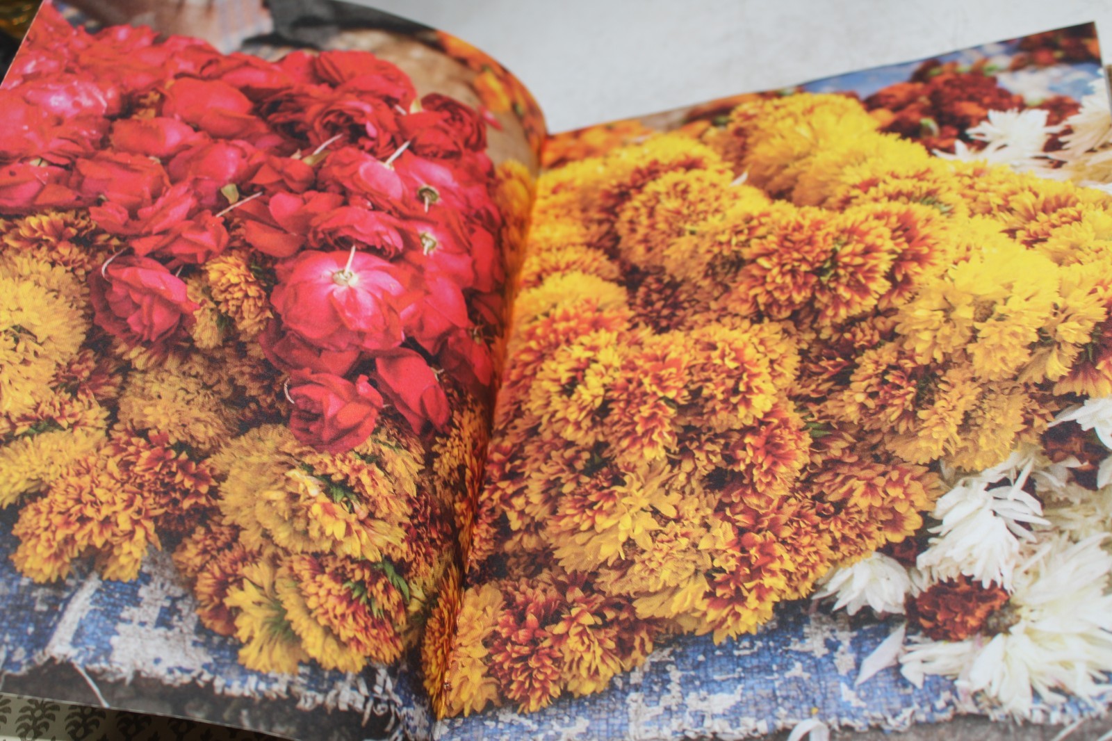 Patterns of India: A Journey Through Colors, Textiles, and the Vibrancy