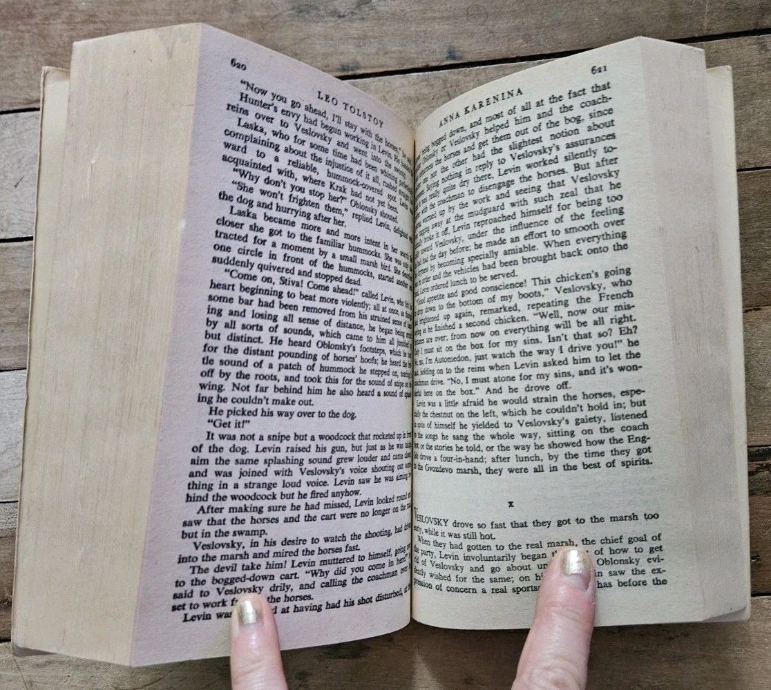 1981. Anna Karenina | Bantam Classic Paperback by Leo Tolstoy | Scarce Edition