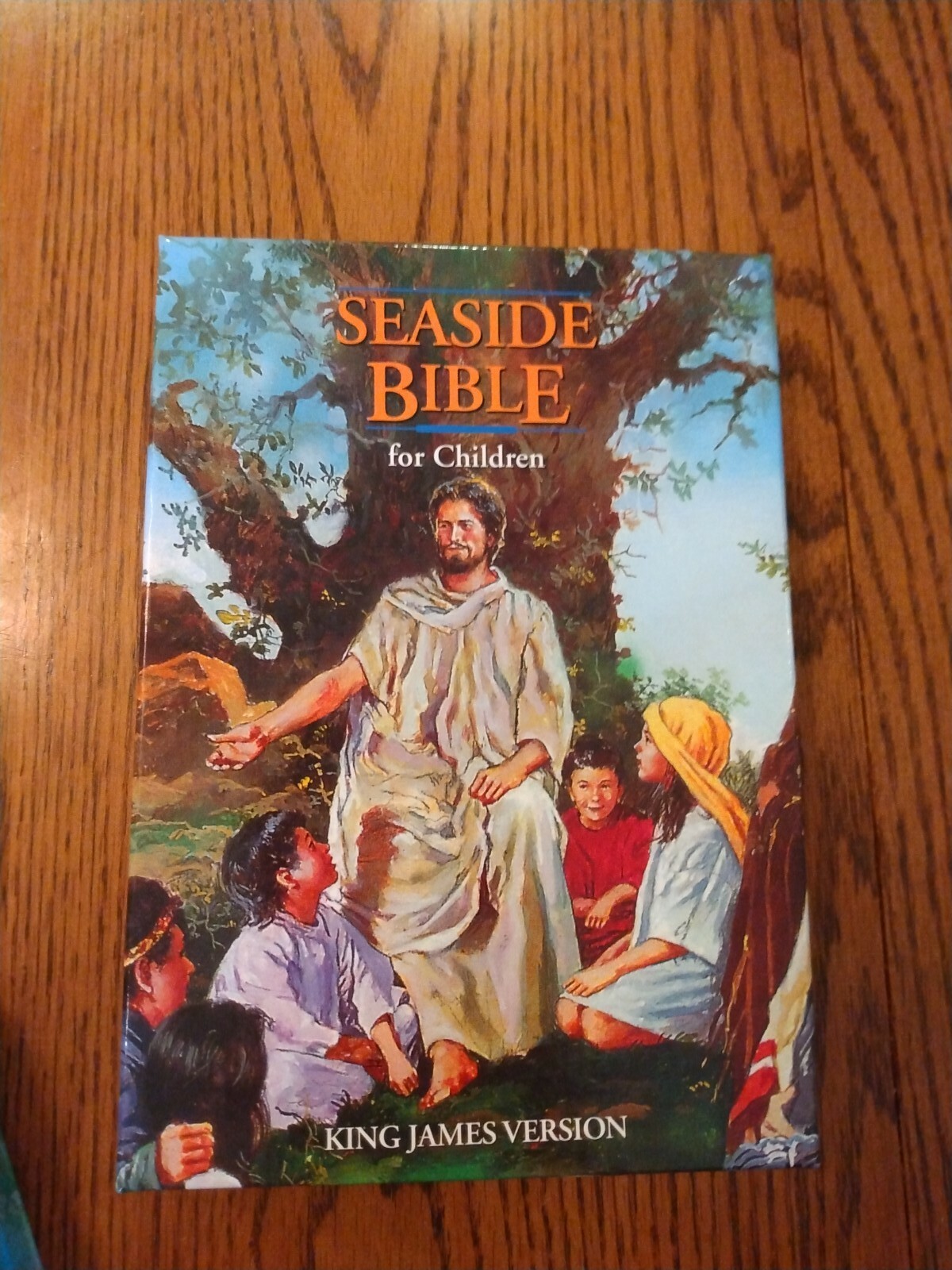 Children’s Bible KJV Seaside Bible Illustrated Nelson Hardcover blue edge