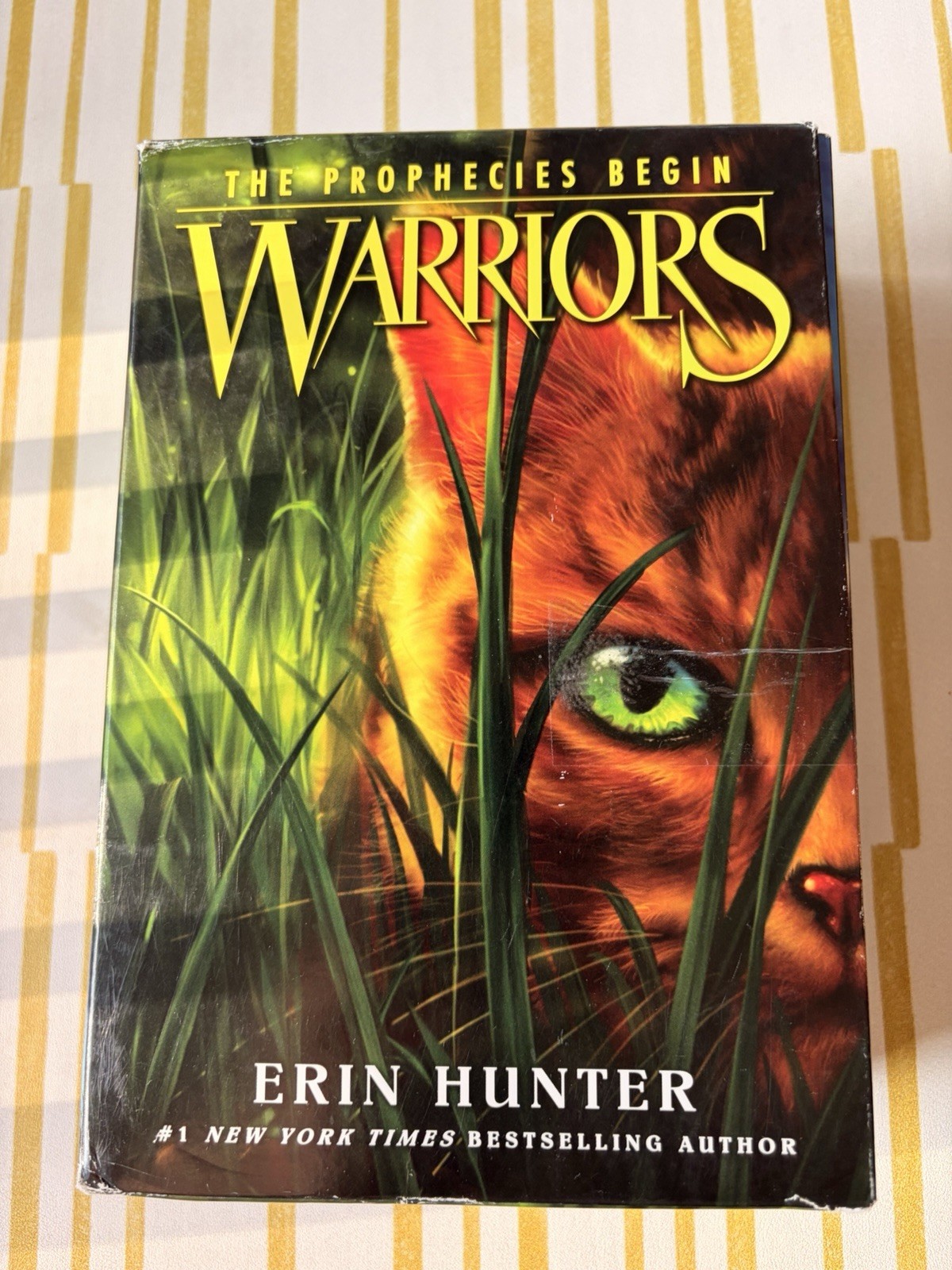 Erin Hunter Warriors: The Prophecies Begin Box Set Books 1-3 (English)