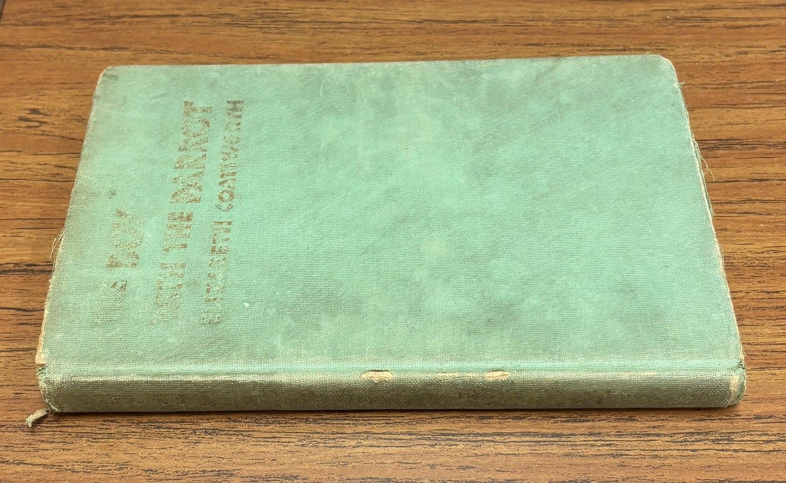 The Boy with the Parrot by Elizabeth Coatsworth 1942 The Macmillan Company