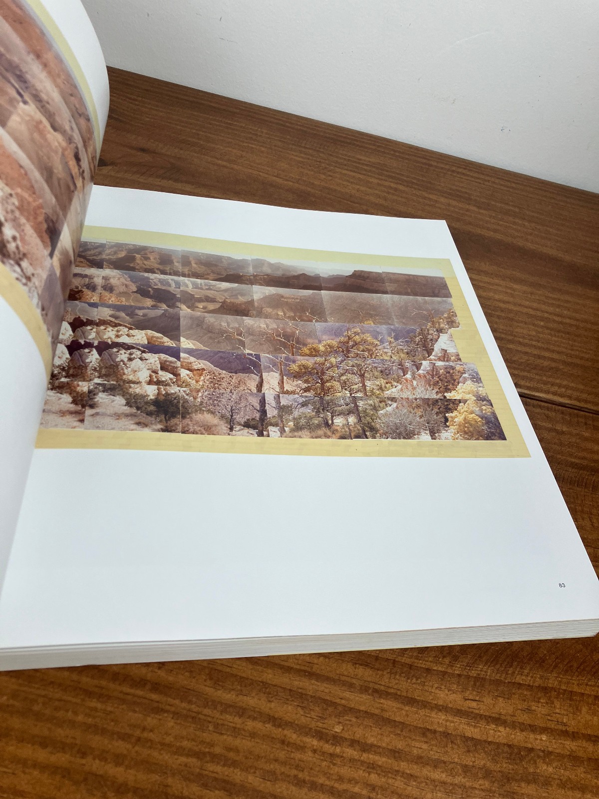 David Hockney – A Bigger Picture , Royal Academy of Arts Large Softcover Book