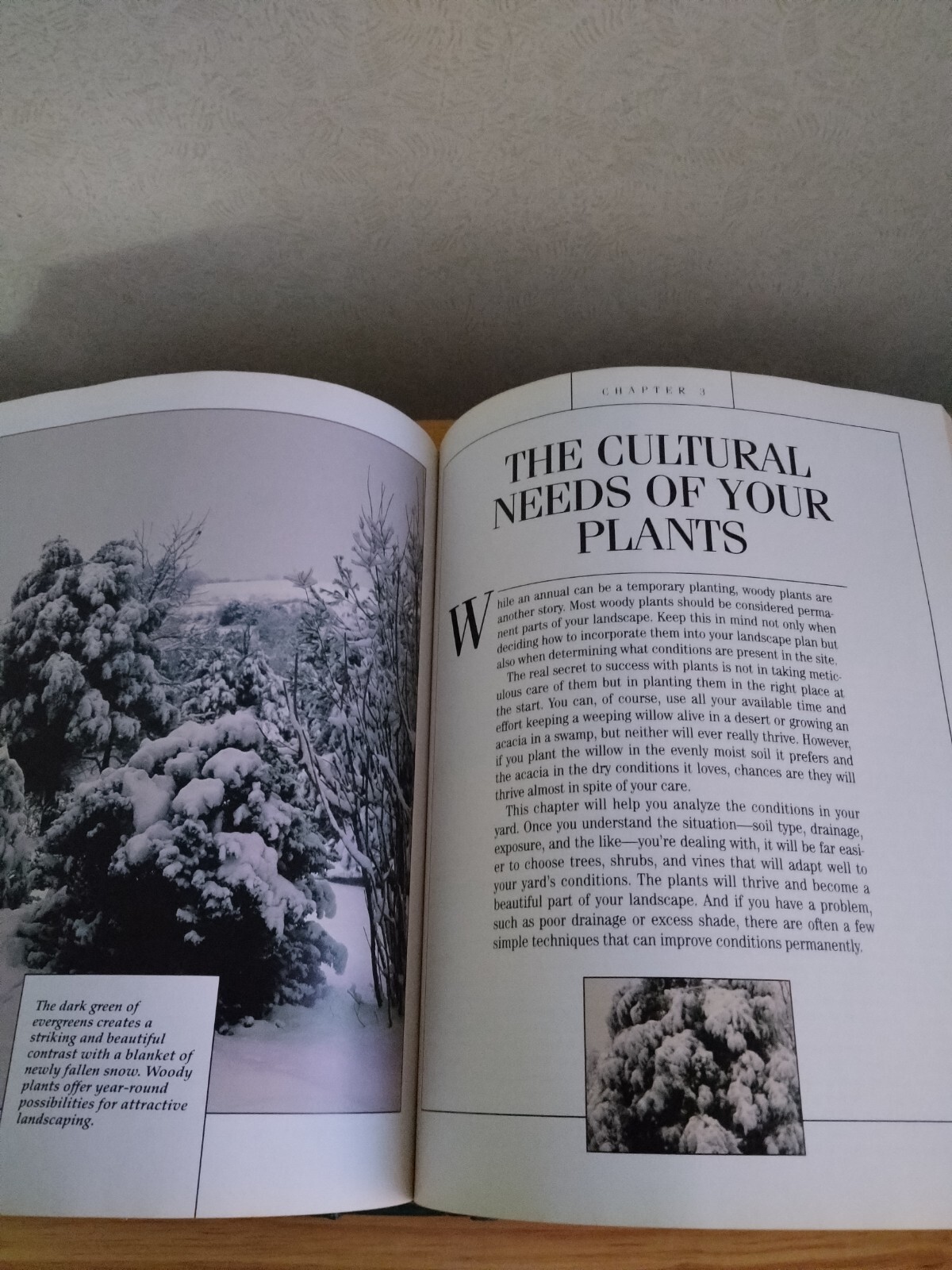 Treasury Of Gardening Hardcover Book 1994 576 Pages