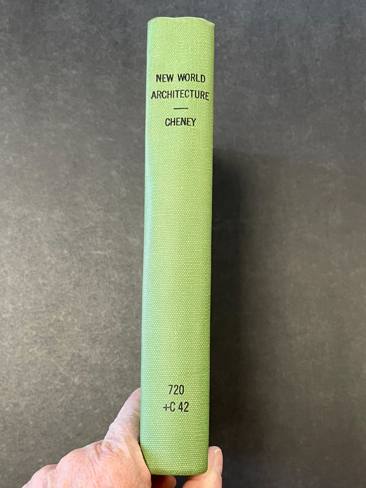 Sheldon Cheney 1930 THE NEW WORLD ARCHITECTURE Ex-Library Rebind HC