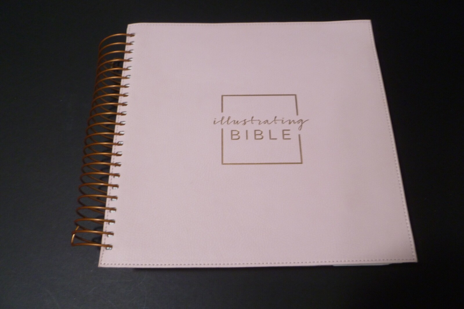 Illustrating Bible NIV Pink by Dayspring (2020, Spiral)