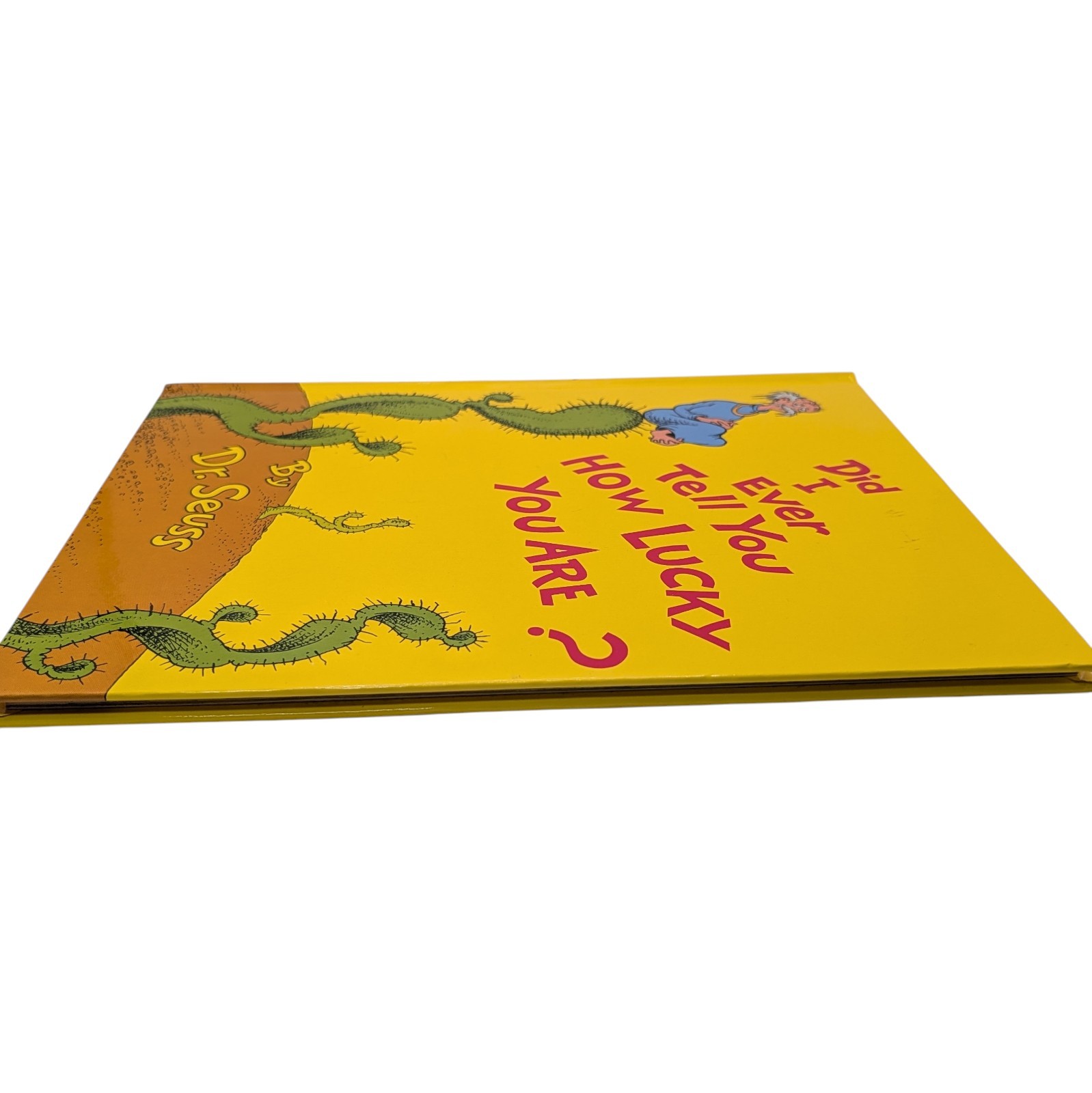 Did I Ever Tell You How Lucky You Are By Dr Seuss Hardcover Book 1973 Vintage