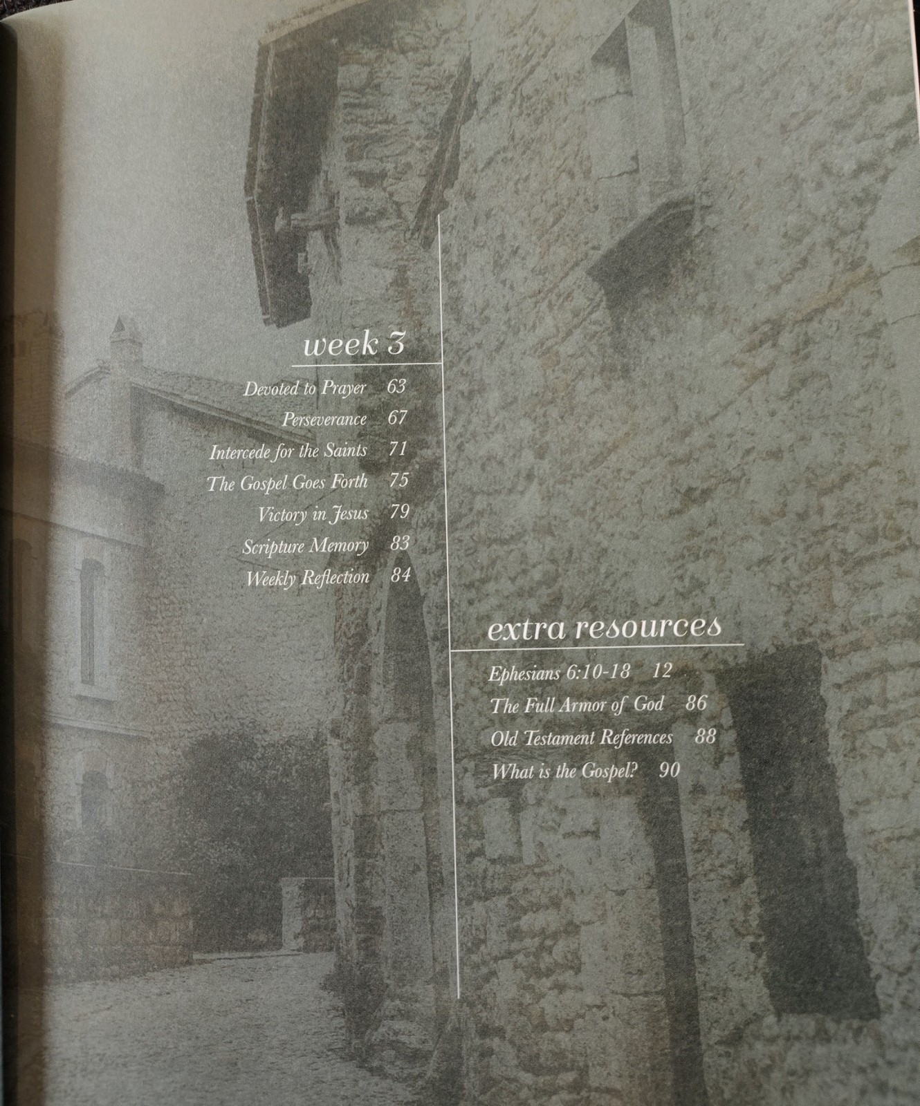 The Daily Grace Co. Stand Firm Bible Study Book, Trade Paperback