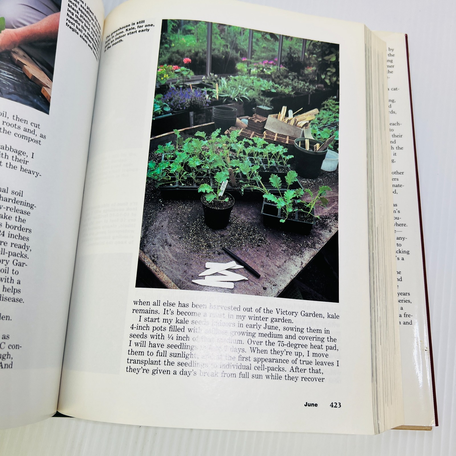 The Victory Garden: The Essential Companion : Three …