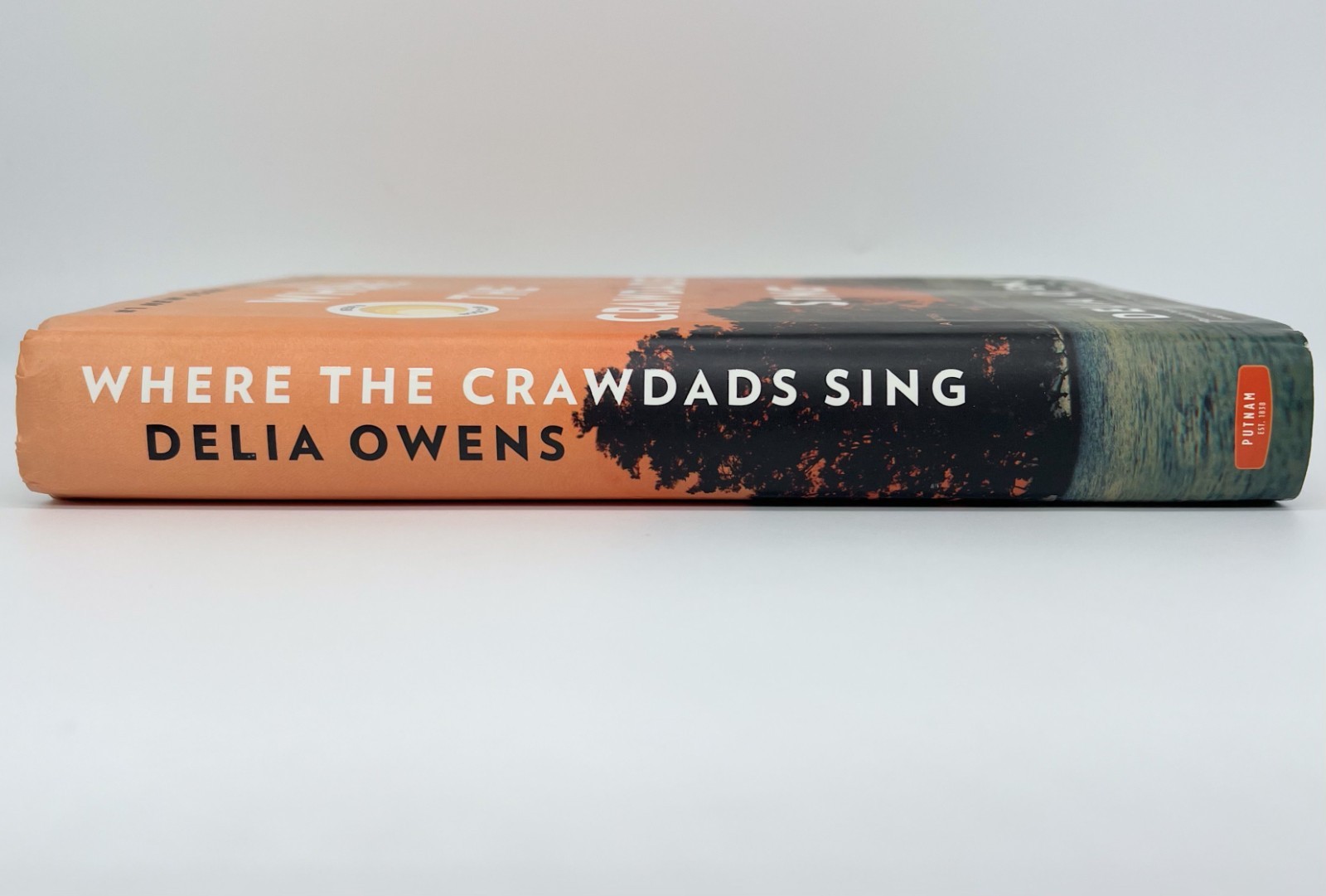 Where The Crawdads Sing – Delia Owens | Hardcover | Good. 2