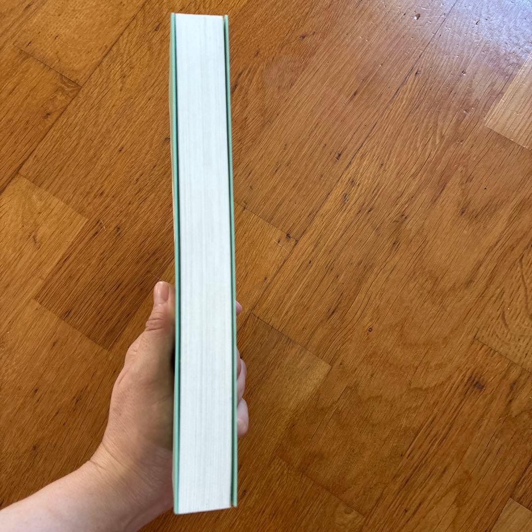 David Holman Works Collection 1 Tomoko Ito Art Book Used approx. 10.8 x 8.3 in