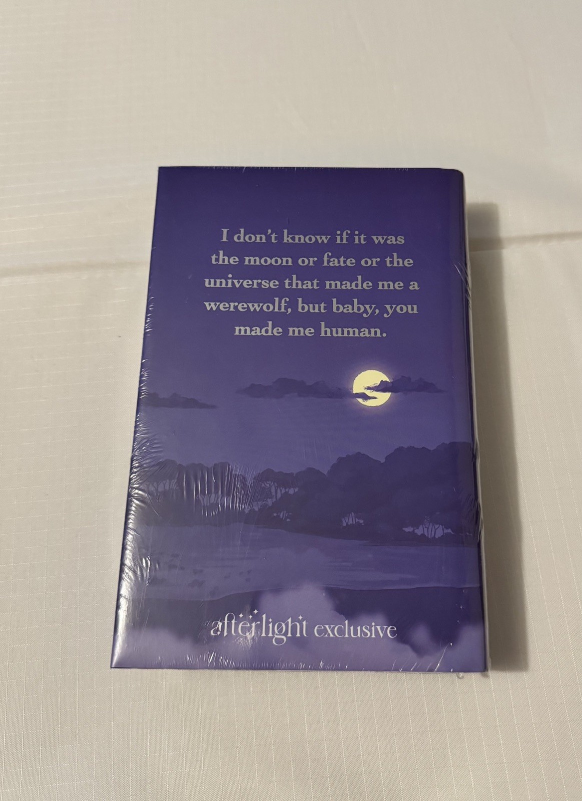 Afterlight Illumicrate Fan Service by Rosie Danan – March 2025 „Down Bad“ Book