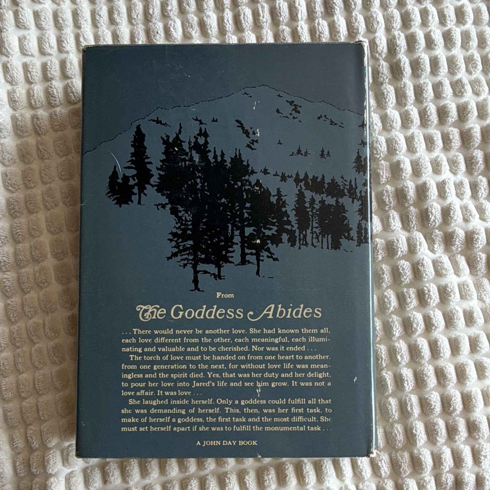 Pearl S. Buck The Goddess Abides John Day HC Novel w/ Dust Jacket 1972 1st editi