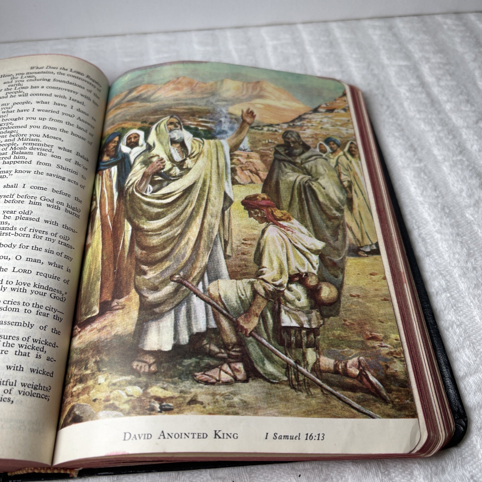 VTG 1953 Holy Bible RSV Nelson & Sons Genuine Leather Black Text + Illustrations