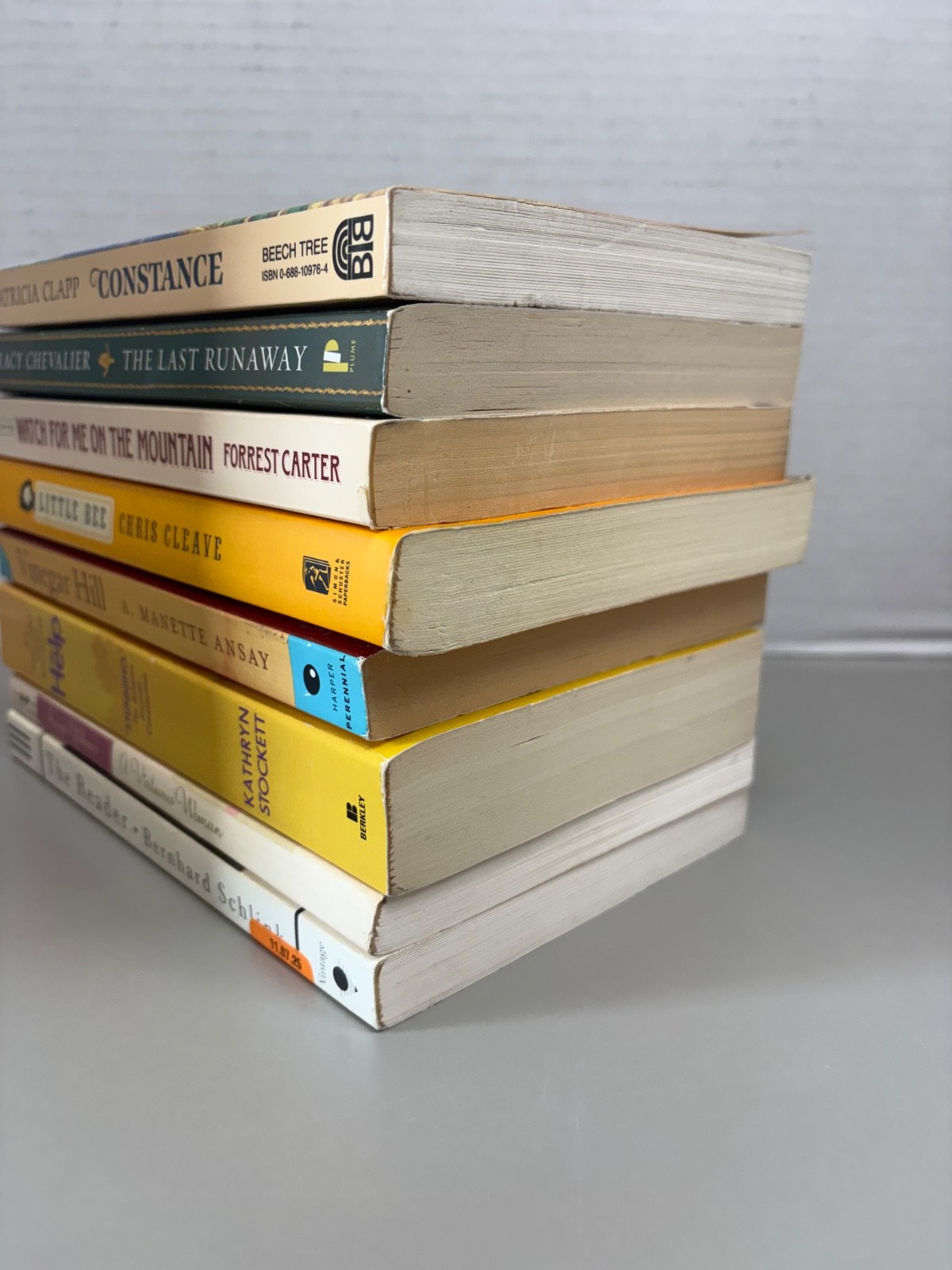Historical Fiction Lot of 8 Trade Paperbacks (See Photos for Titles)