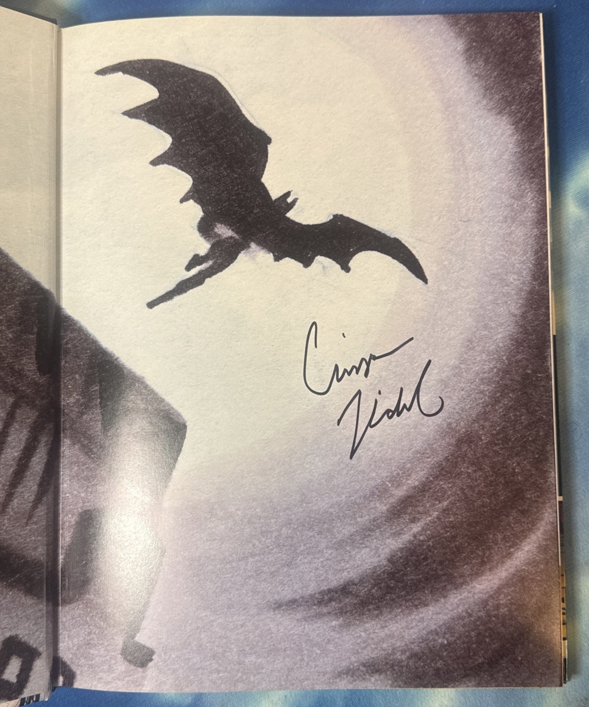 Rare 1998 Batman: Animated DC Hardcover Book Signed by Chip Kidd