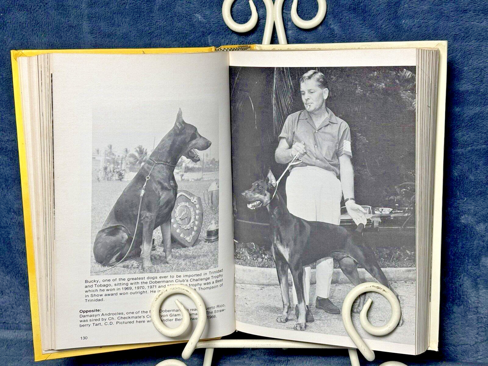 RARE 1976 1st Ed. The Book of the Doberman Pinscher – Joan M. Brearley Hardcover