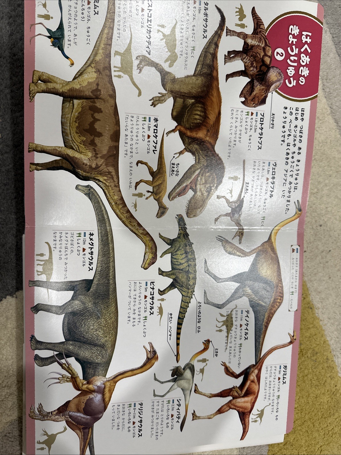Lot 2 Japanese Picture Books Dinosaur Encyclopedia For Kids Gakken NHK Zukan