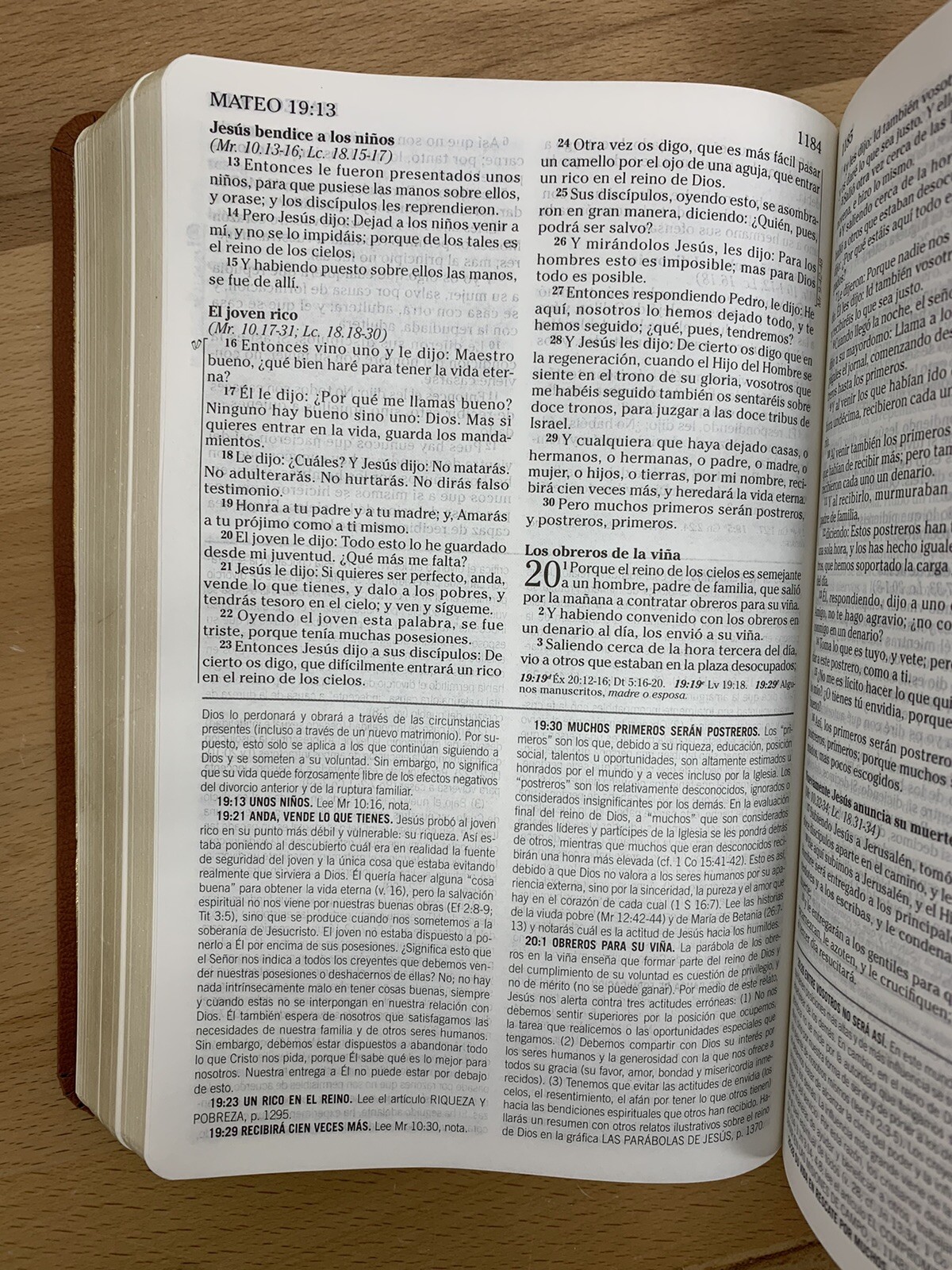 BIBLIA DE ESTUDIO DE LA VIDA PLENA PARA JOVENES, REINA VALERA 1960, PIEL CAFE