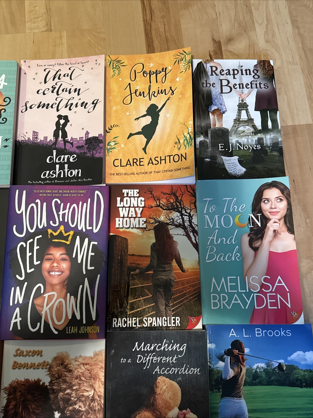 Lot of 20 Sapphic Books All In Good Condition Condition From Various Authors