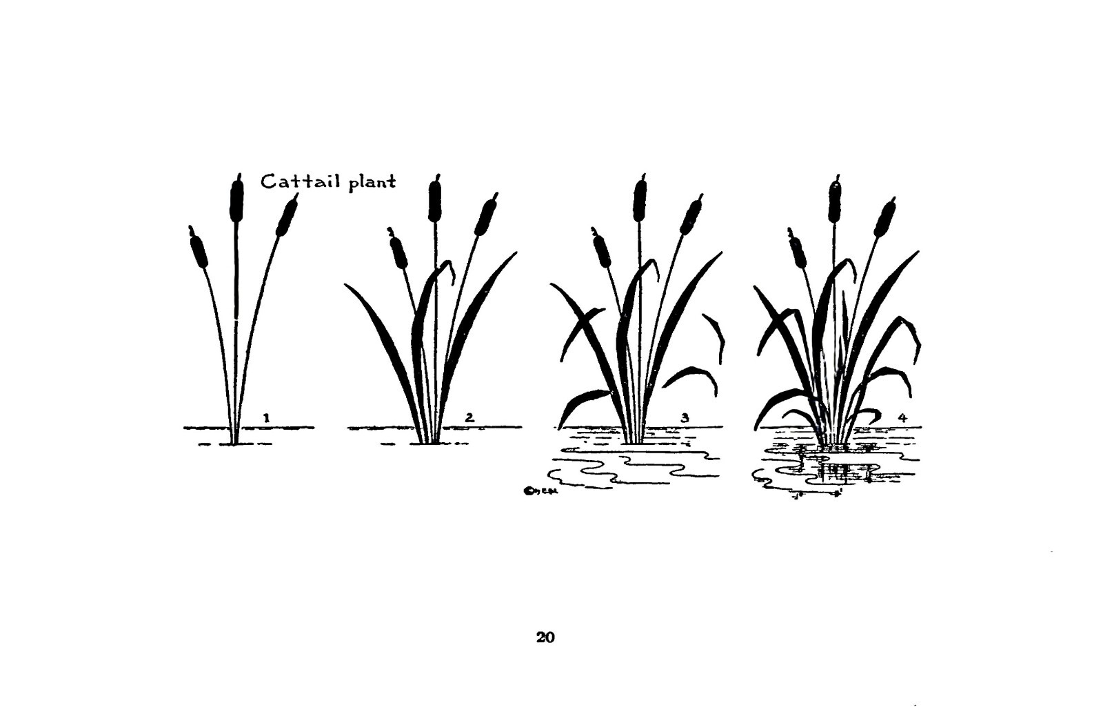 What To Draw And How To Draw It „1913“ 76 Pages