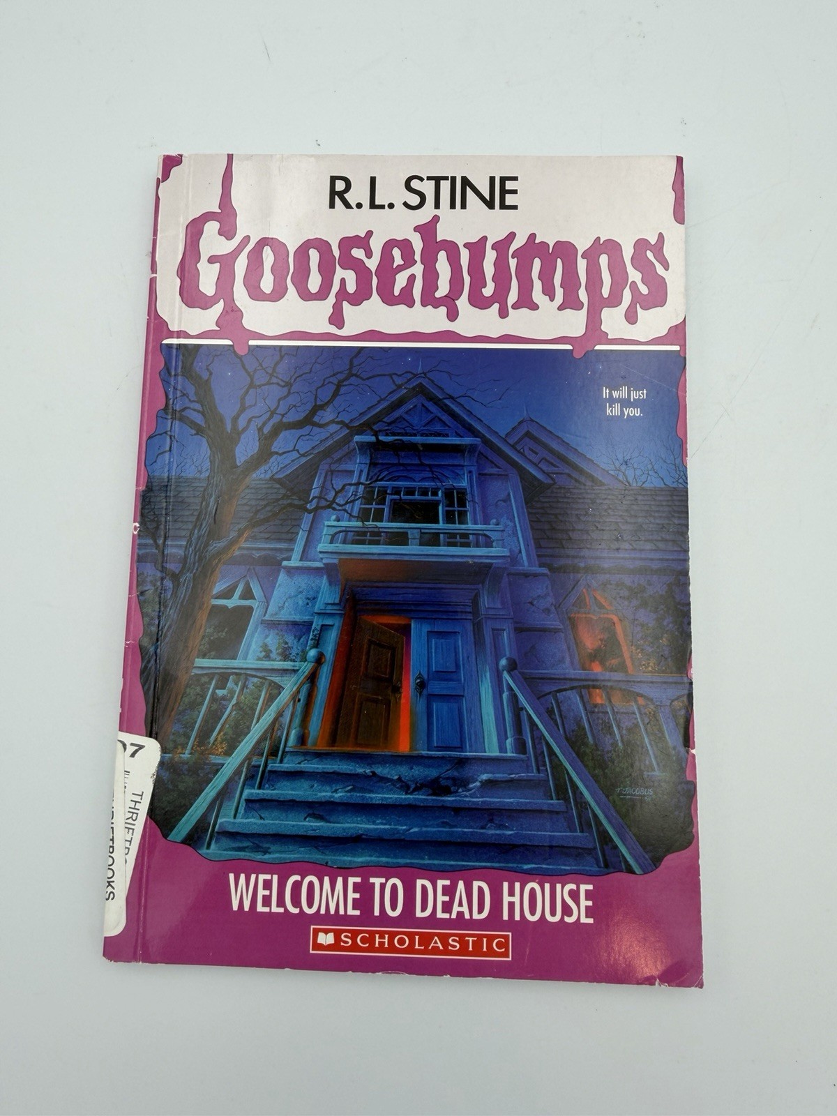 Scholastic Goosebumps Book Lot 4 Classic Horror Stories R.L. Stine Paperback
