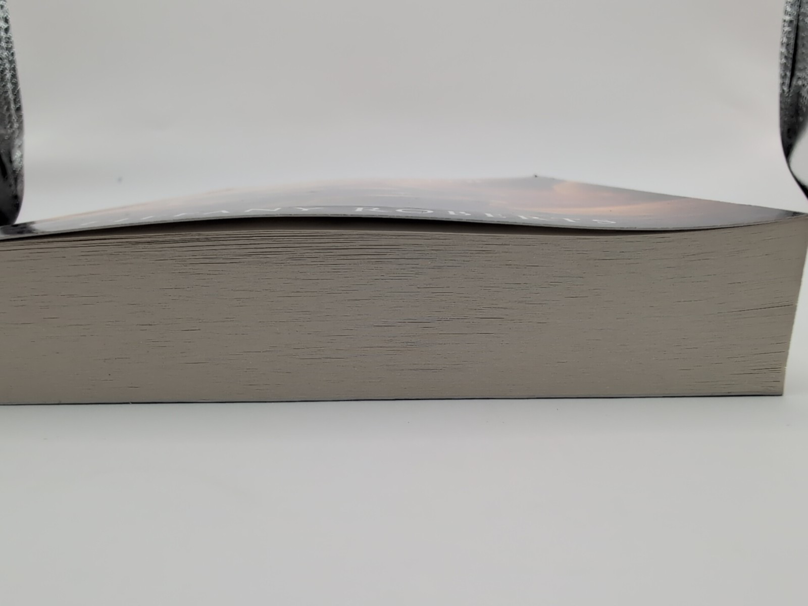 Dustwalker by Tiffany Roberts (2017, Trade Paperback) *SIGNED*
