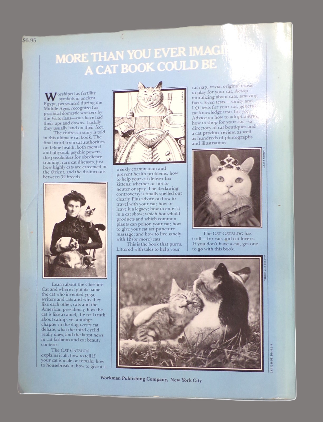 „Cat Catalog“, The Ultimate Cat Book, Large „Very Good“ 1st Ed. Book, 352 pages