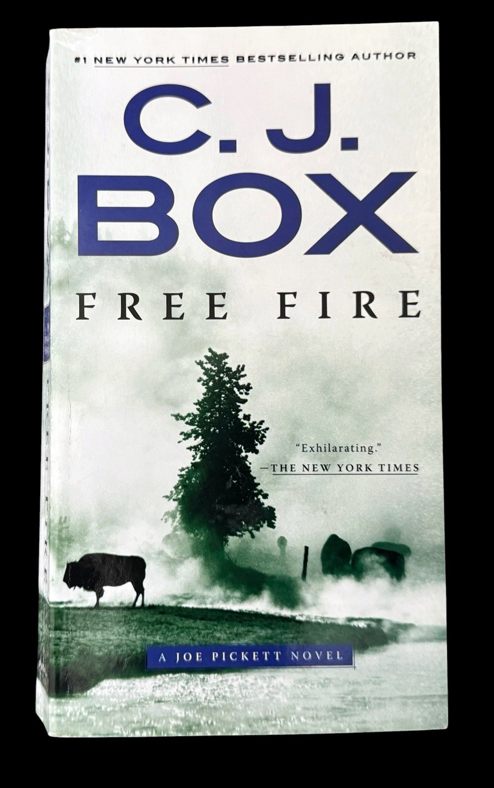 10 PB Bundle: Ten Joe Pickett Novels by C. J. Box 2003-2019 Putnam