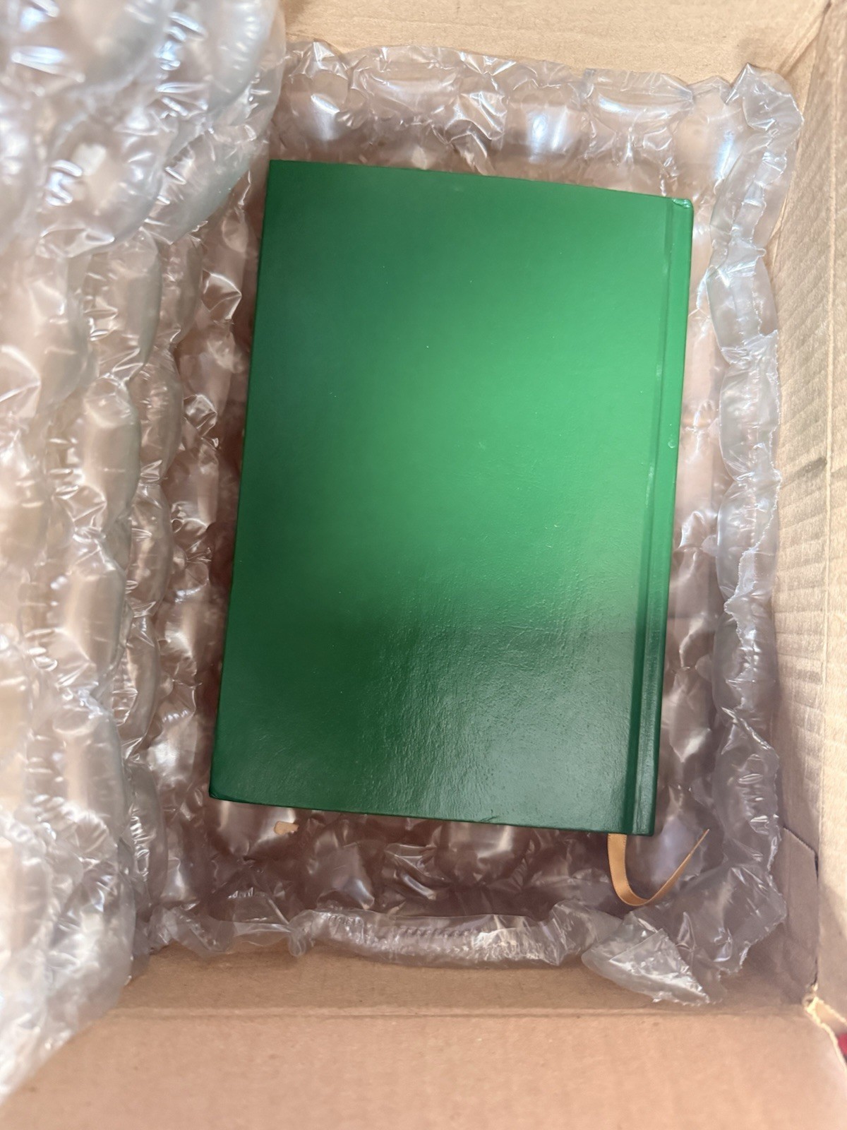 LANA DEL REY Green Hardcover Book – Format: Hardcover, Color: Green