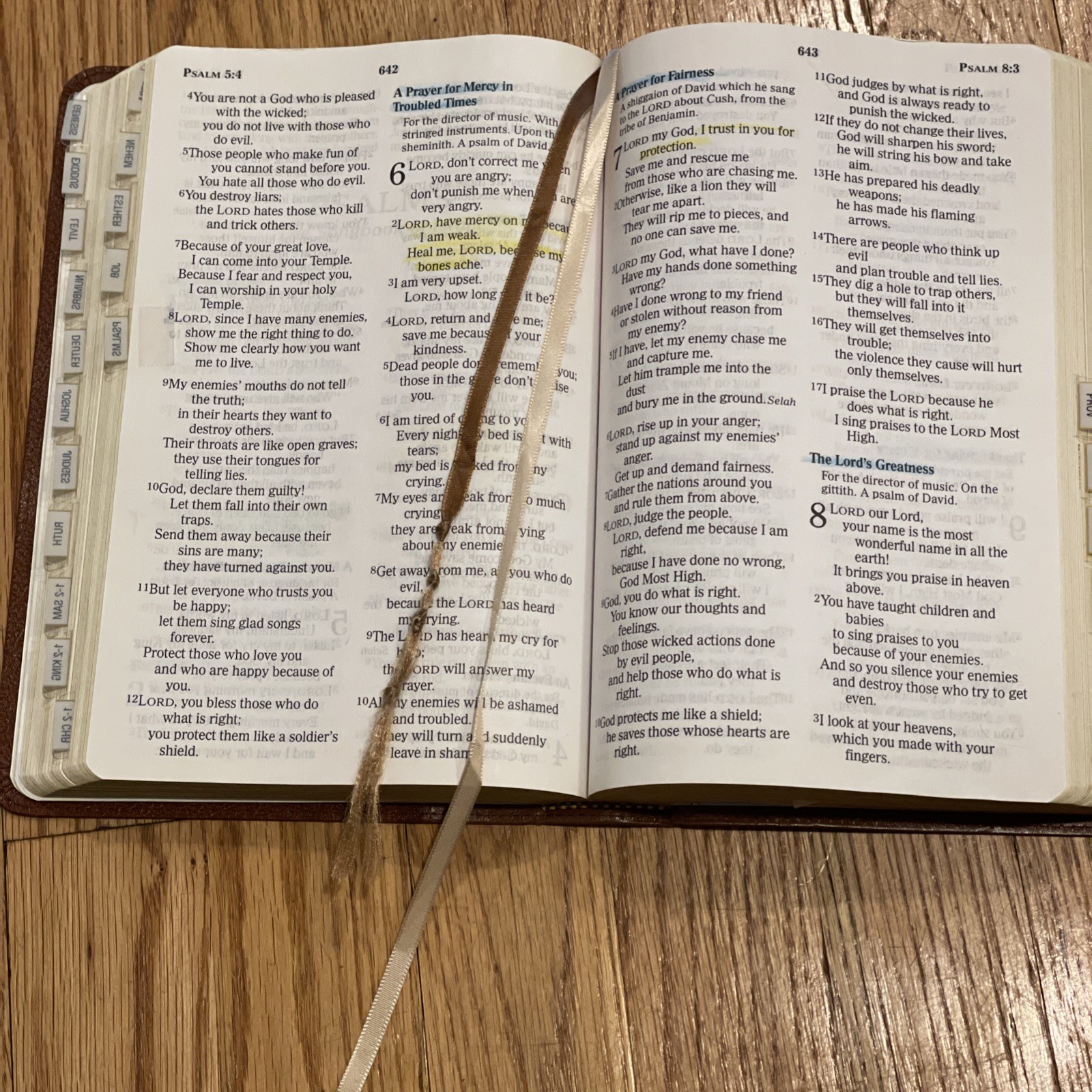 Nelson Bible 6365SAM NCV New Century Version Giant Print Book Tabs *READ*