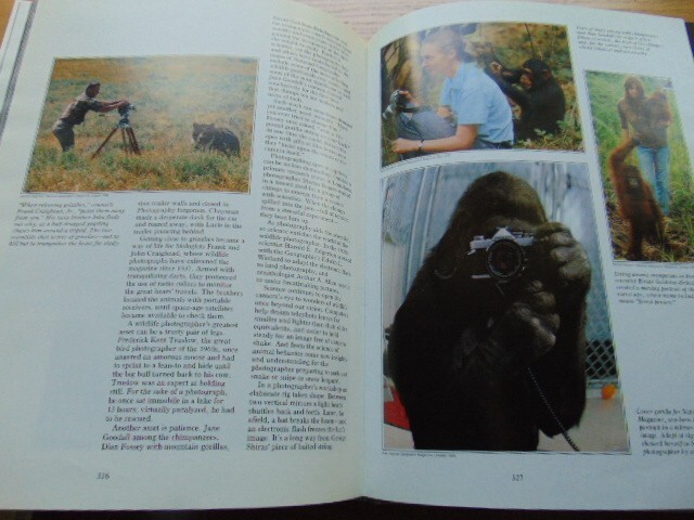 1981 Images of the World- HB- Nat. Geographic- 396 pages