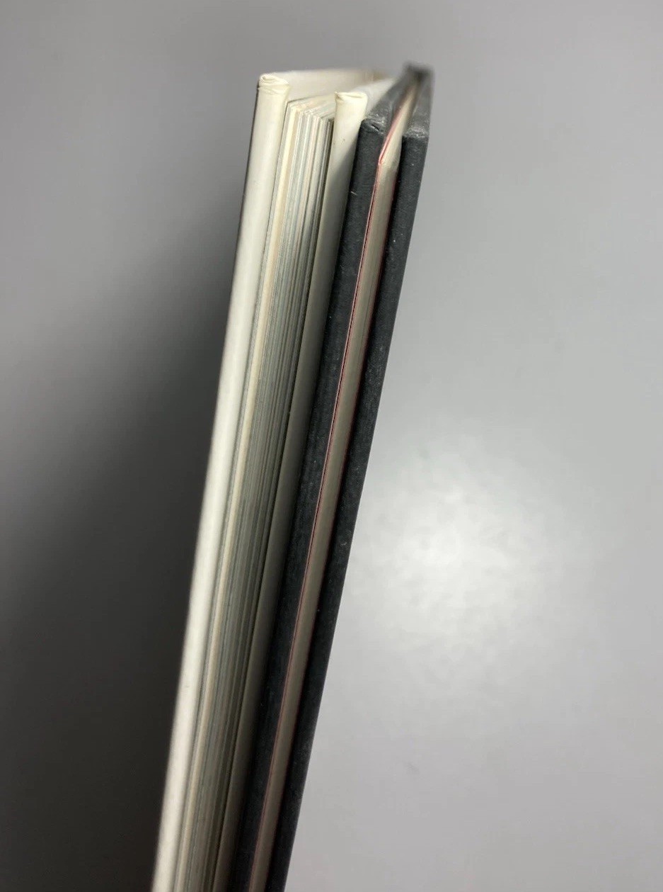 WILLIAM WEGMAN Lot of 2 First Edition Hardcovers: “CINDERELLA” & “PUPPIES”