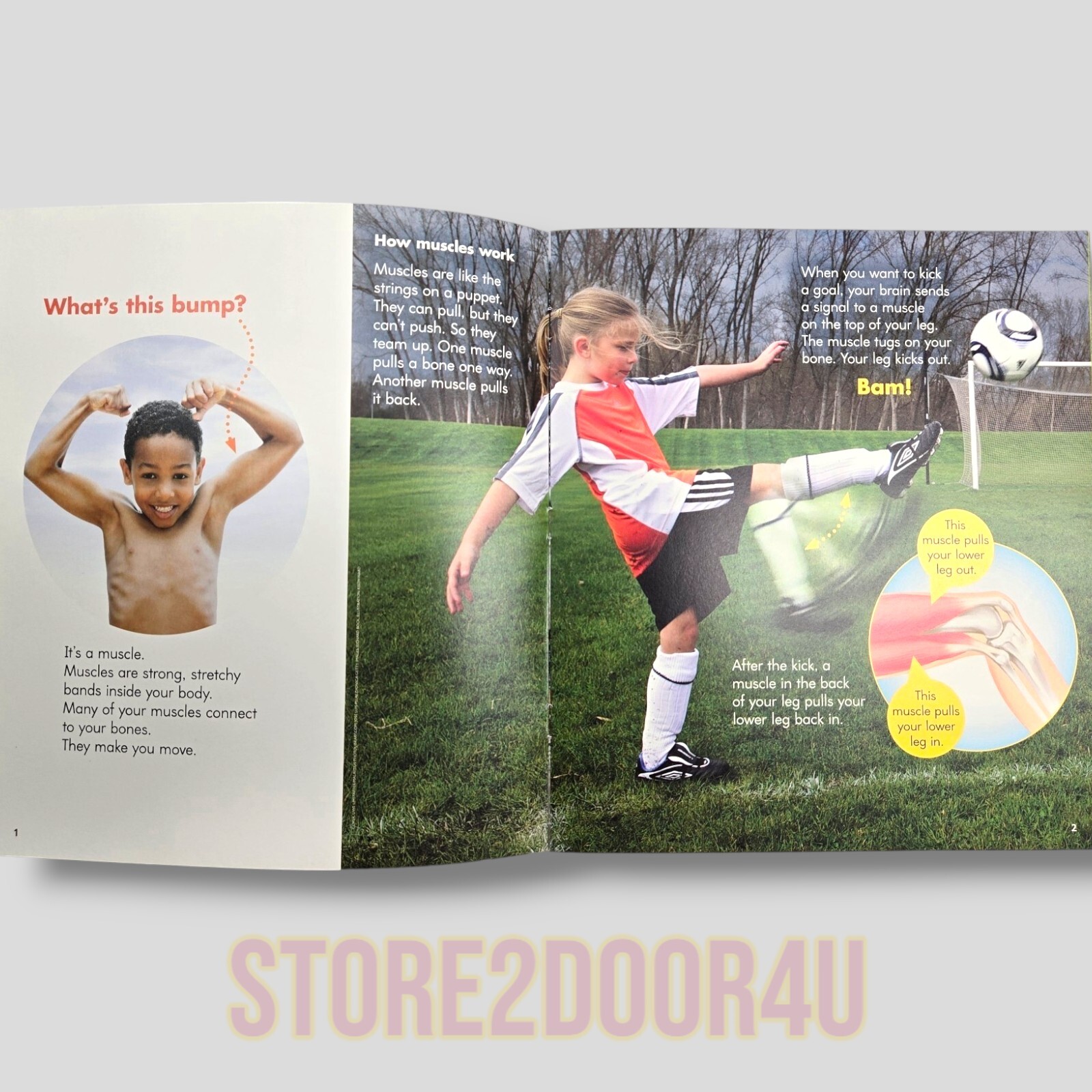 Adventures Of The Superkids Reading Program: Muscles They Make Us Move