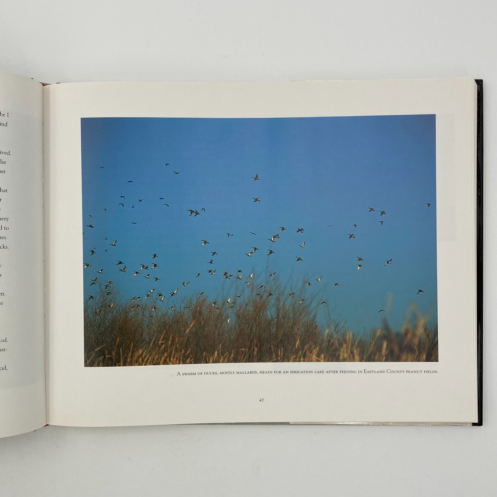 Texas Seasons by Wyman Meinzer and Ray Sasser (1999, Hardback) VGC 175 pages