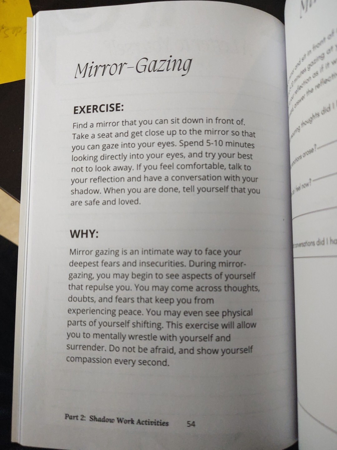 THE SHADOW WORK JOURNAL Guide Integrate & Transcend Your Shadows Self Help Book