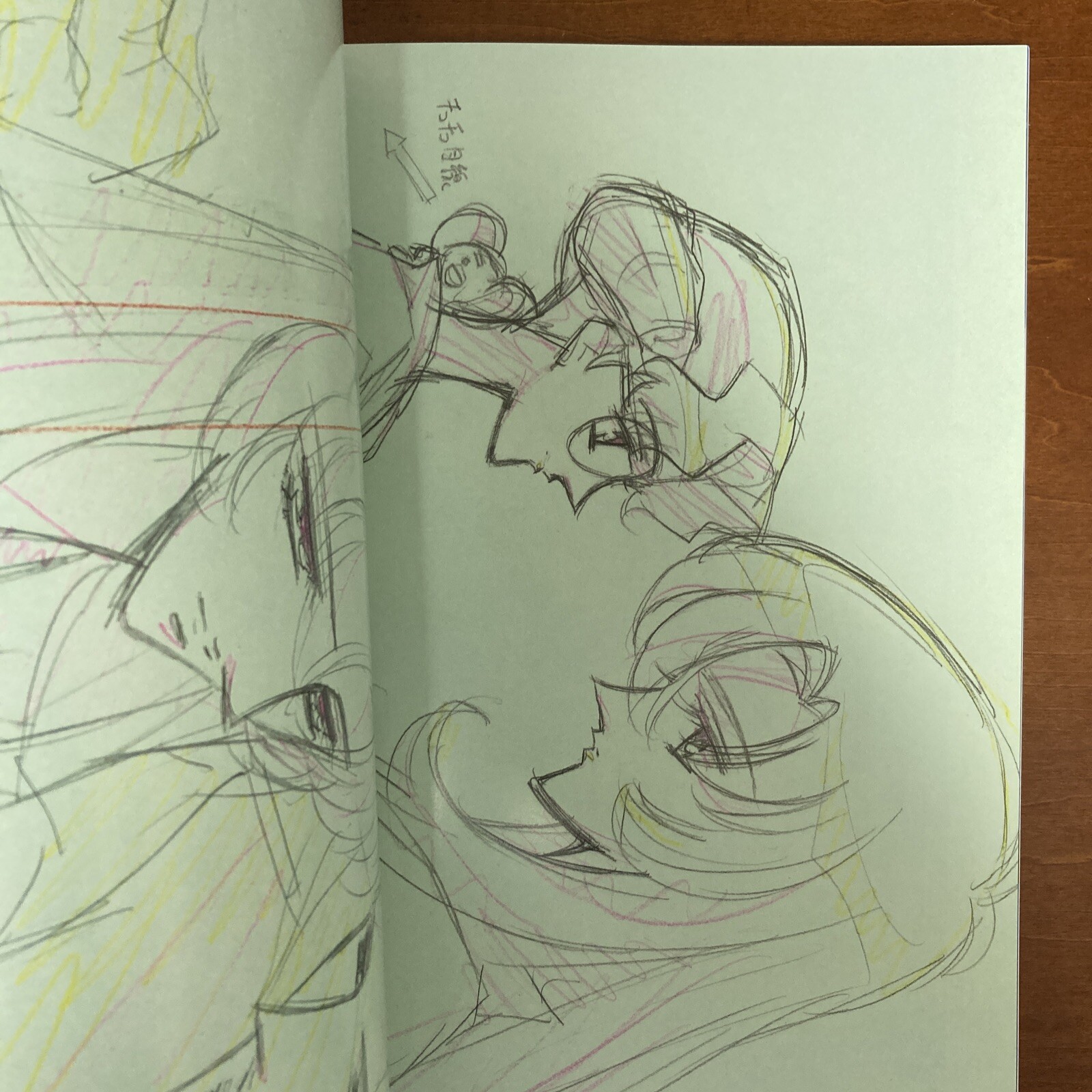 Revolutionary Girl Utena Art Book The hard core of UTENA Animation Side