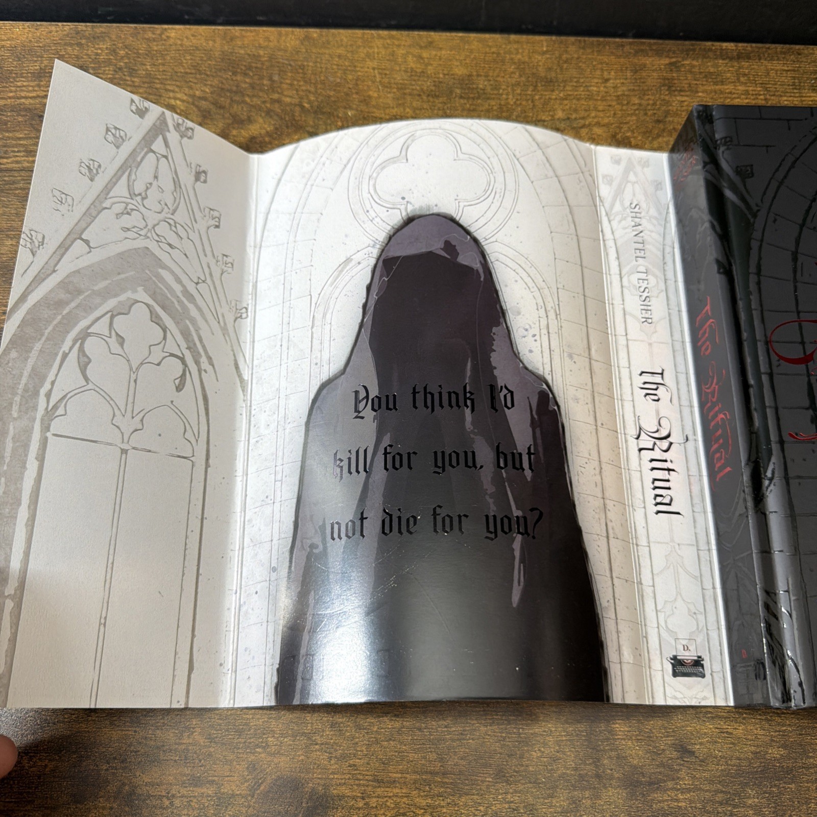 The Bookish Box THE RITUAL Shantel Tessier Sprayed Edges Special Edition