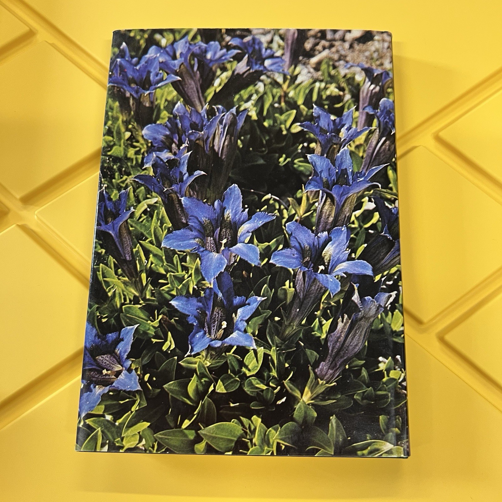 Gentians, Bartlett, Mary, Blandford Press, 1975, Hardcover