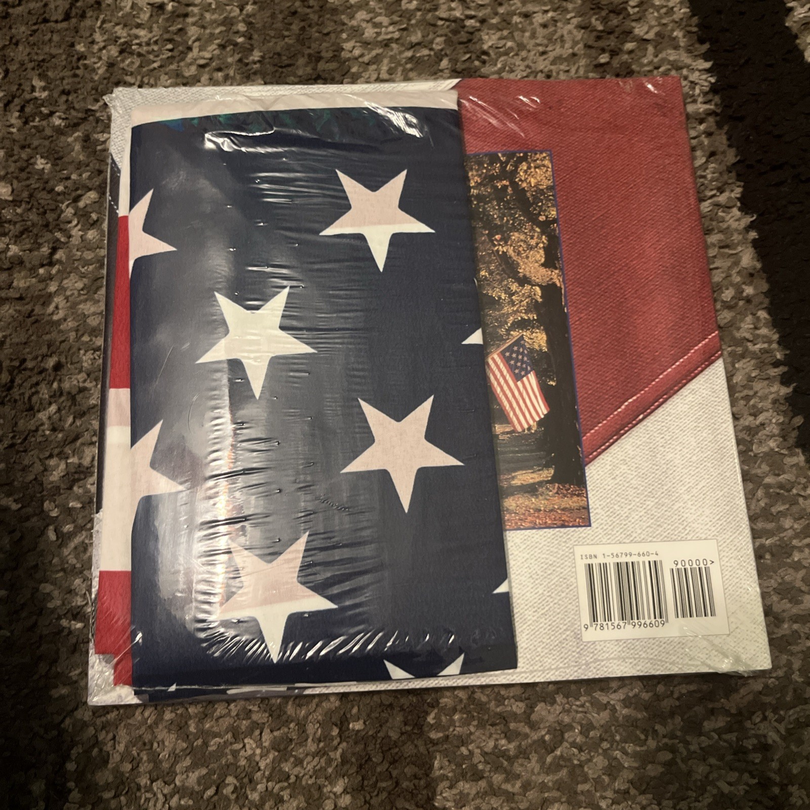 The American Flag Hardback Book Friedman/Fairfax Hardcover brand new